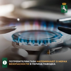 Томичей информируют: при повышении уровня воды может возникнуть угроза подтопления объектов газораспределения и газифицированных жилых домов, а также угроза аварийной ситуации при использовании газового оборудования