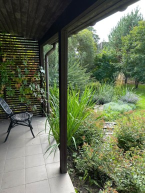 Как создать идеальный сад без огромного бюджета: полезные советы