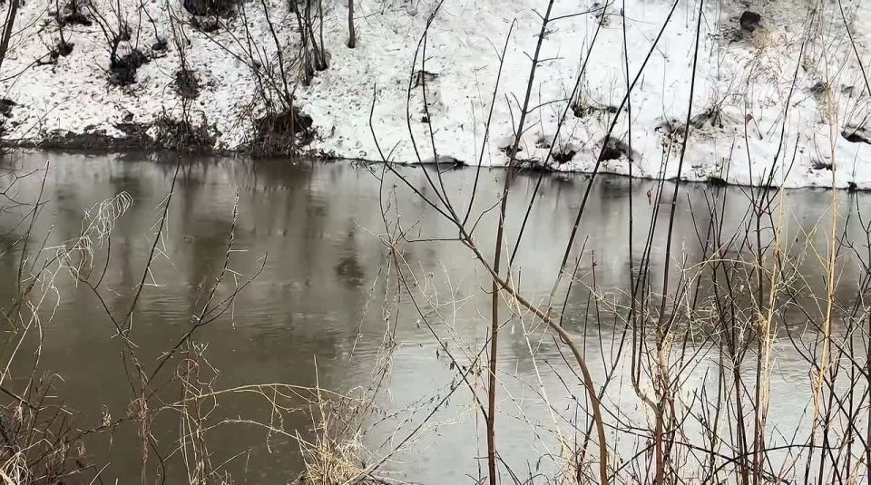 ������� ������: �������� �� ����� ������ ������� ��� �������������� ���������