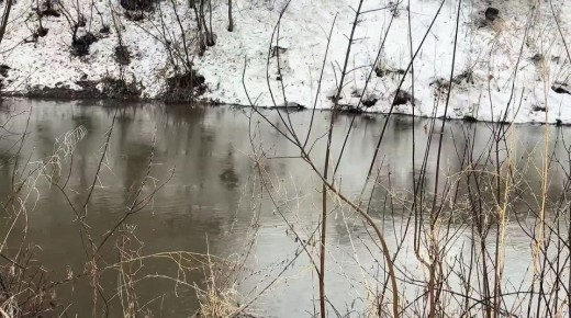 ������� ������: �������� �� ����� ������ ������� ��� �������������� ���������