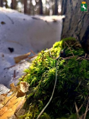 Доброго четверга!. Ожидается ясная погода, 0°