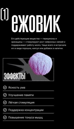 Грибы для мозга: как ежовик и кордицепс помогают улучшить память и концентрацию