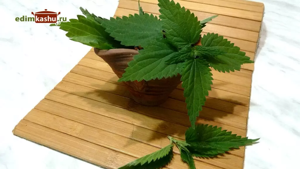 Секреты заготовки крапивы на зиму: простые способы сохранения хвои