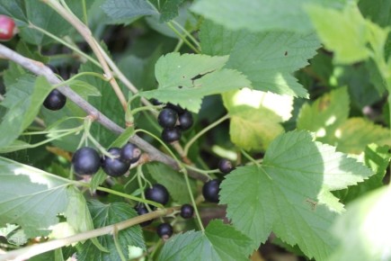 20 ������ ������ ���������, ������� ������� ��� ��� � 2025 ����