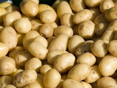 ��� ������� ��������� �������� ��������� ��� �������� ������