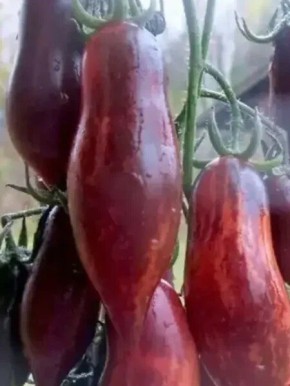 ����� � ����� ����������: ���������� ����� ���������