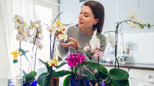 ������ ���� ����� ������� ����� ��������� ����������: �������, ��� ������ ��������