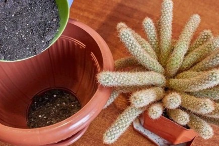 ��� ��������� ������� ����� � ������ ��� ��������