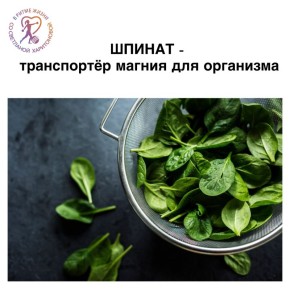 Шпинат: ключ к стройной фигуре и здоровью