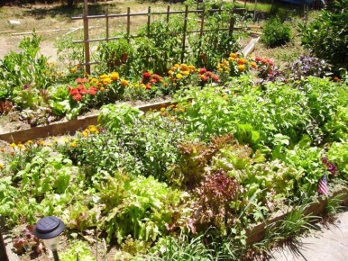 �������� ����: ����������� �������� ��� ����� ����