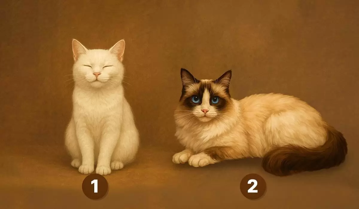 Как научиться говорить 'нет': проводим тест на личность