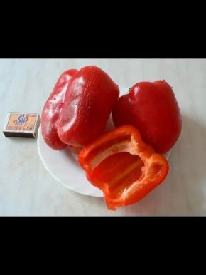 Перец Бандай: гигант с кубовидными плодами для теплиц