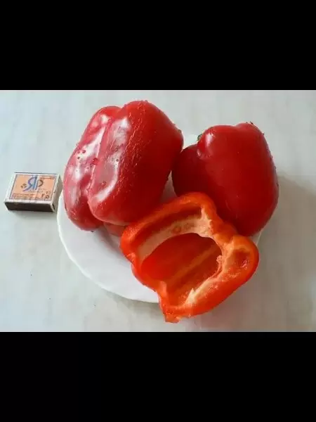 Перец Бандай: гигант с кубовидными плодами для теплиц