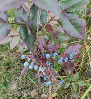 ������ ������ � ����������� �������: �� ������� �� ���������