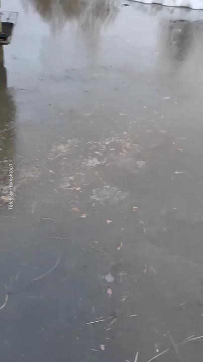 ������� ������� ������ ��� ���� ��-�� �������