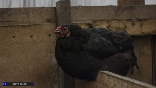 ������� ����������, ��� �������� �������� ���� � ������ ��������� ���������