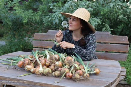 Как восстановить здоровье вашего огорода: секреты обработки земли после сбора урожая