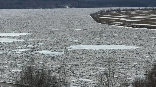 � ������� ������� ���� ������ �����������