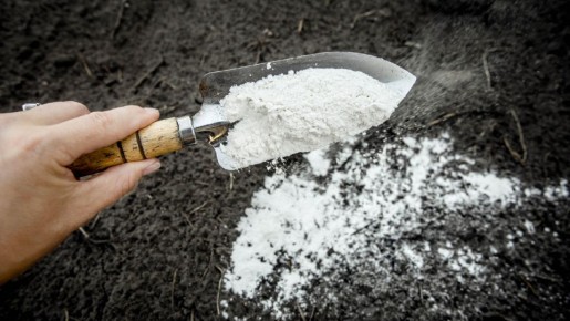 ��� ������� ��������� ������� �������� ������ ������ � ��������� ������