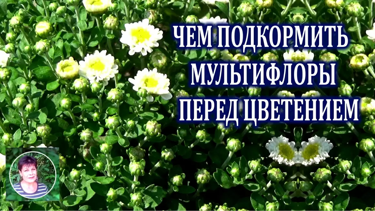 Эффективное удобрение мультифлор: секреты яркого цветения