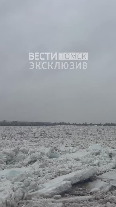 А Томь плывет: где посмотреть прямую трансляцию ледохода в Томске