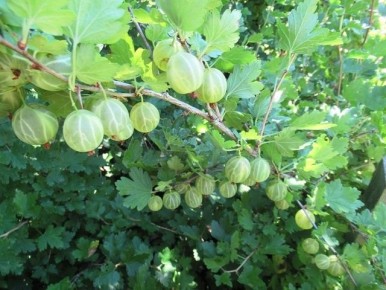 ����� � ��� ��������� �������� ���� ����������