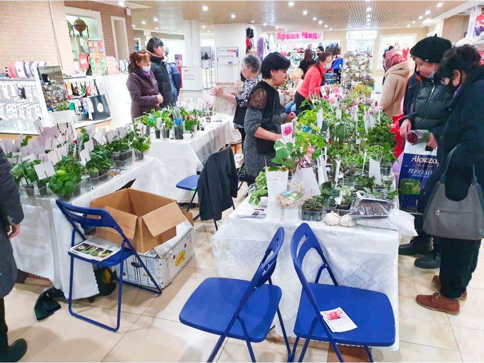 �������� ��������� ��������: ����������, ������ � ������������ ��������