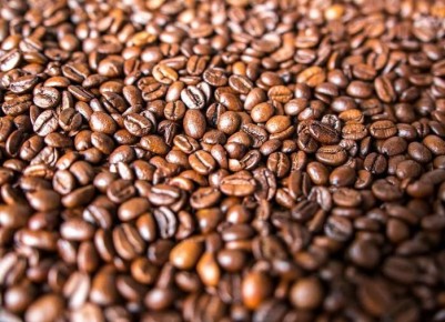 ��� ���� �������� �������� ��� ��� �� ����������