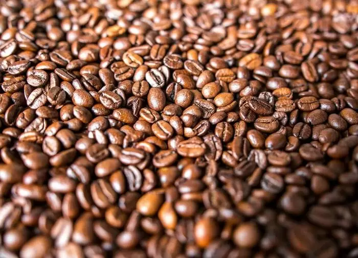 Как кофе помогает защитить ваш сад от вредителей