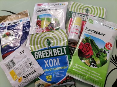 Как обеспечить здоровье саду: эффективные средства и практические советы