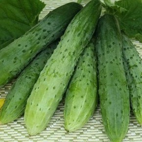 ������ ���������� �������: ������������ ������ ��� ������ � ����������� ����������������