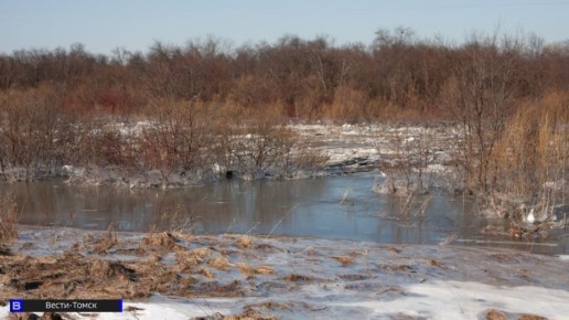 Затор на Томи привел к подтоплению более сотни участков под Томском