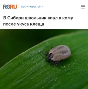 �� ������ �������� ���� � ���� ����� ����� �����: ����� � ���� ���� �������� ������