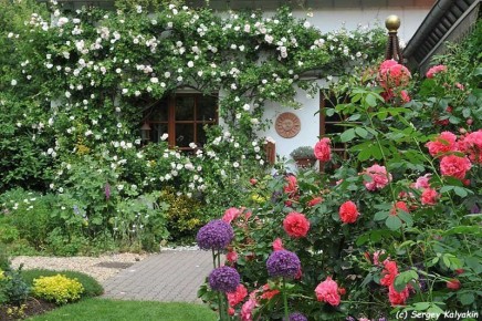 ��� ����������� ��� ���: ���������� ���� � ����������� �� ���������