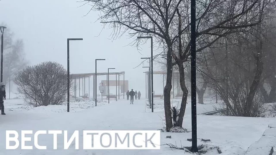 ������� �����. Telegram | ��������� | ���