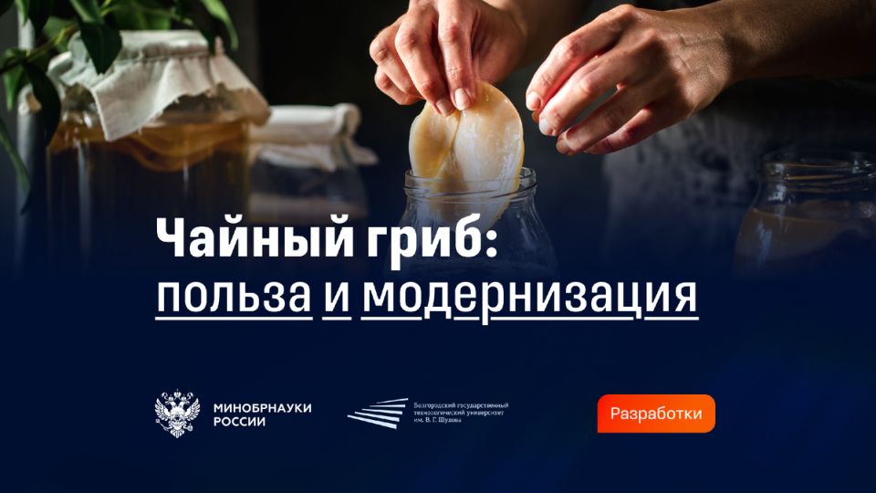������ ����: ����� ������ �� ������� ������� � ��� �������� ��������