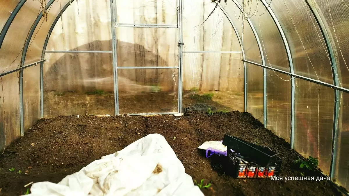 Первые всходы редиса: реальные результаты и советы по посадке