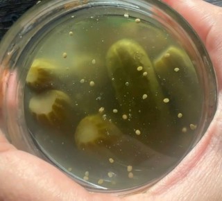 Печенье с огуречным рассолом: новый гастрономический тренд на вашей кухне