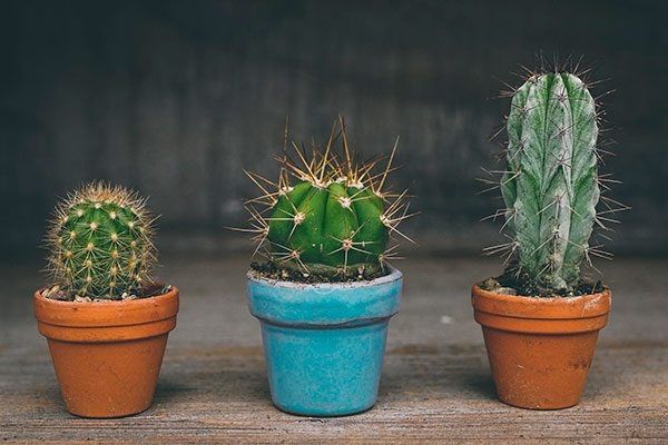 ��� ����������� ����� ��������: ������� ���������� �������