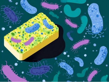 ������������ �� �����: ��� �������� ���� �� �������� � ������ ��� �����