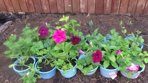 ����� � ��� ���������� ������� � �������� �����, ����� �������� �������������