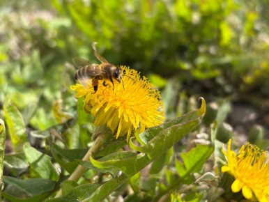 ���, ����� ���!. � ������ ��� ����� �����������, � � ����� ������� ������ ������ �������