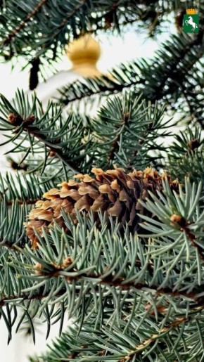 �������� ���������� ����!. ��������� ���������� ����������, +14