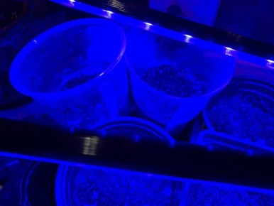 ��� ������� ��������� ���� ��� �������: �����, ������� ��� ���������������