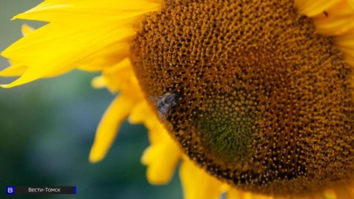 ����� ����: �������� � ������� 28 ������ 2026 ����