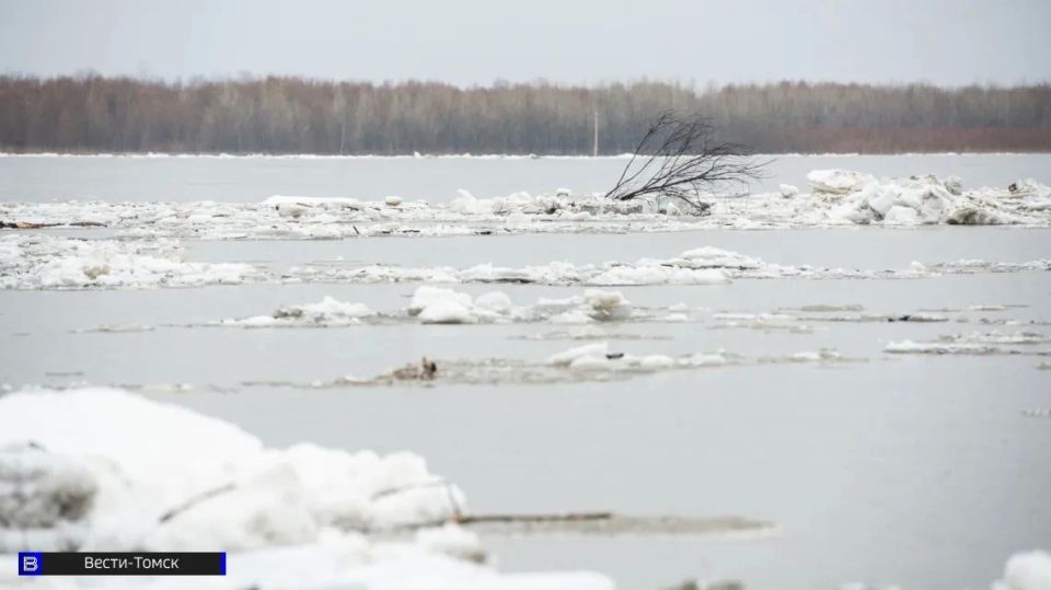 ������ �������� �� ��� ������ 216 �� � �������� ���������