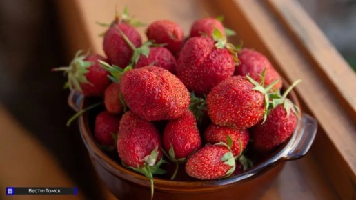 � ������� ������� ������� ����� �������� �������� �������