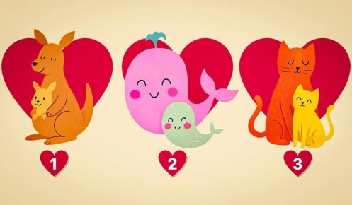 ��������������� ����: ��� ���� ��������� � ����� ���������� ���� �����