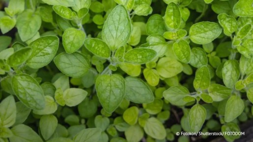 ������� ����� ������� �������� 200 �� ����� ������� �������, �������� ���� � ���