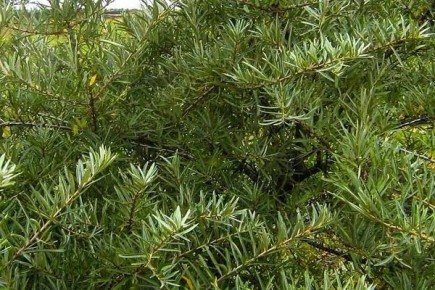 ������� ������� � ����� �� ��������� ����